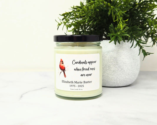 Cardinals Appear When Loved Ones Are Near