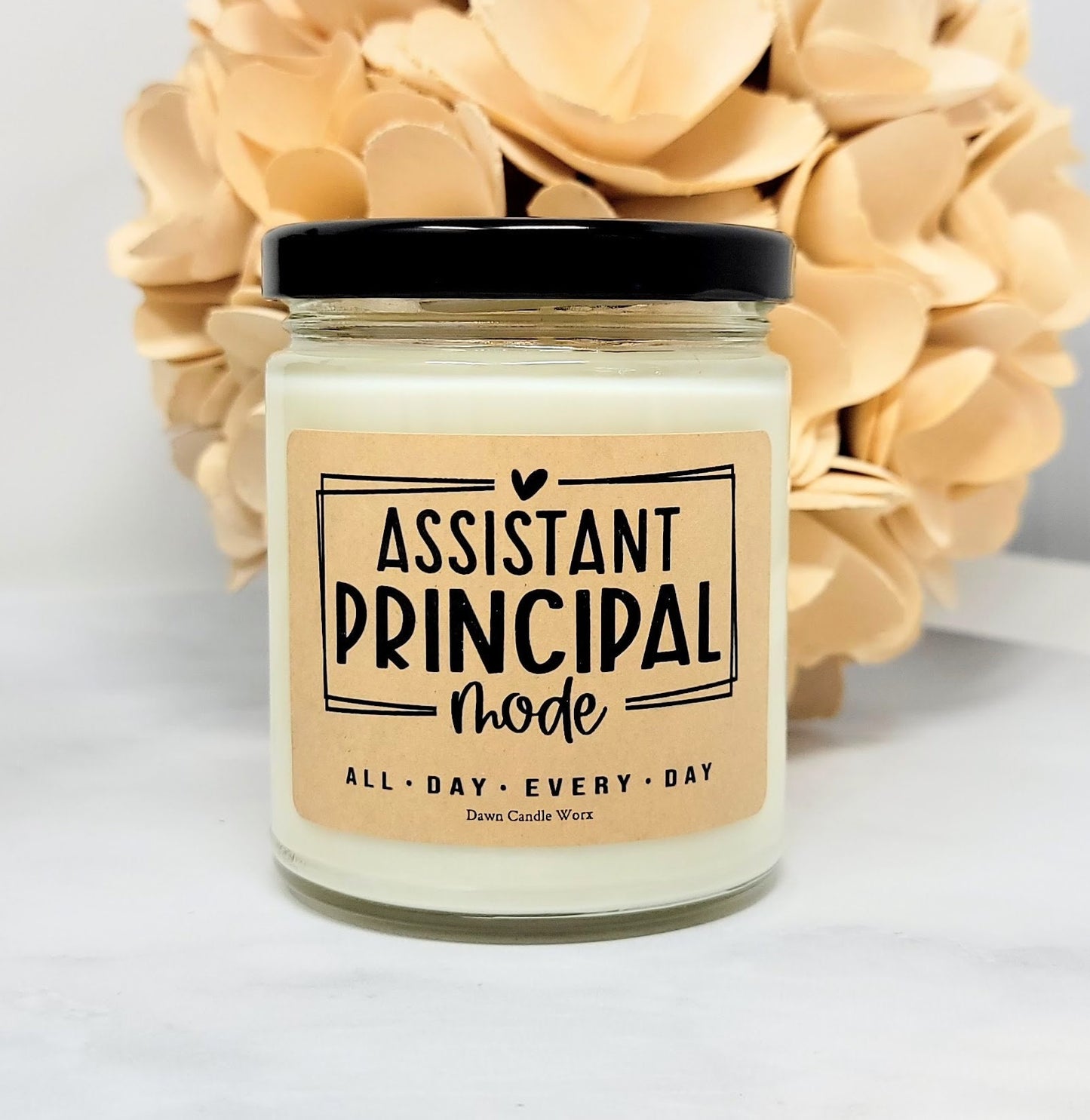 School Assistant Principal